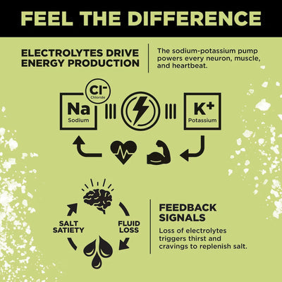 LMNT Zero-Sugar Electrolytes.